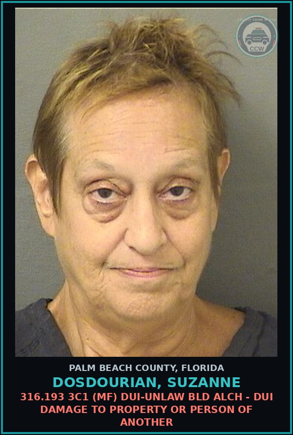 Booking mugshot of DOSDOURIAN, SUZANNE in Palm Beach County