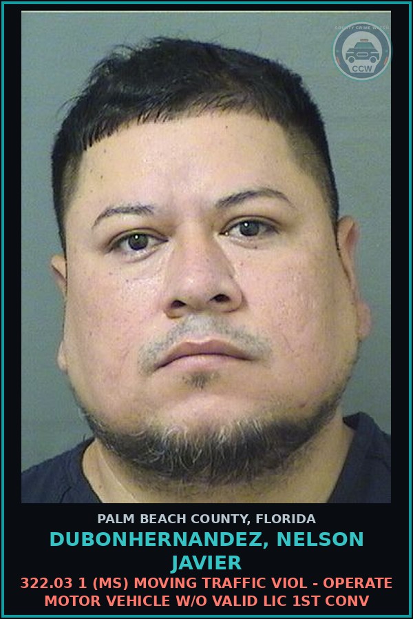 Booking mugshot of DUBONHERNANDEZ, NELSON JAVIER in Palm Beach County