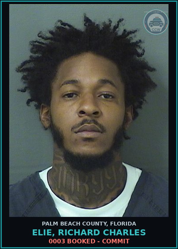 Booking mugshot of ELIE, RICHARD CHARLES in Palm Beach County