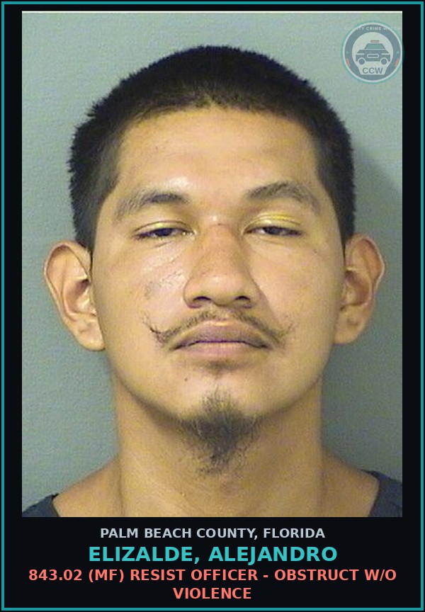 Booking mugshot of ELIZALDE, ALEJANDRO in Palm Beach County