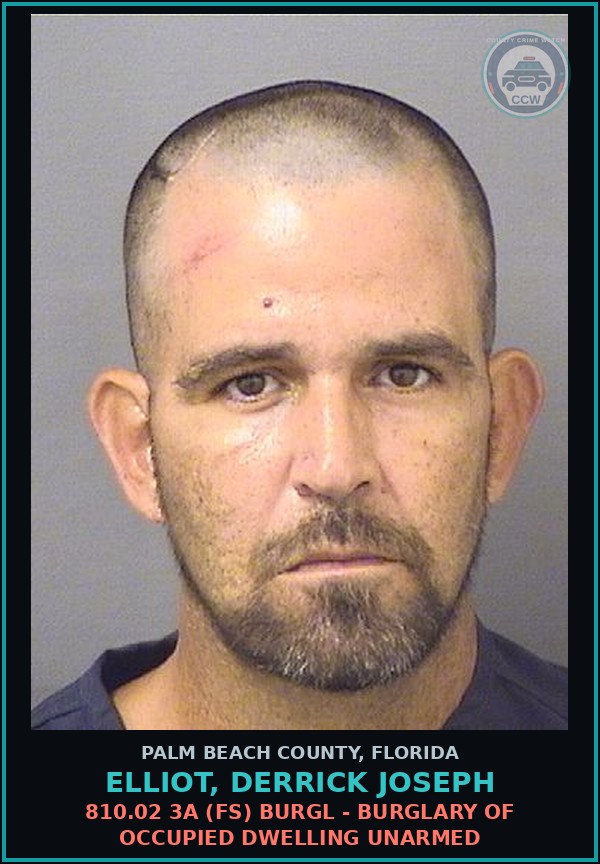Booking mugshot of ELLIOT, DERRICK JOSEPH in Palm Beach County
