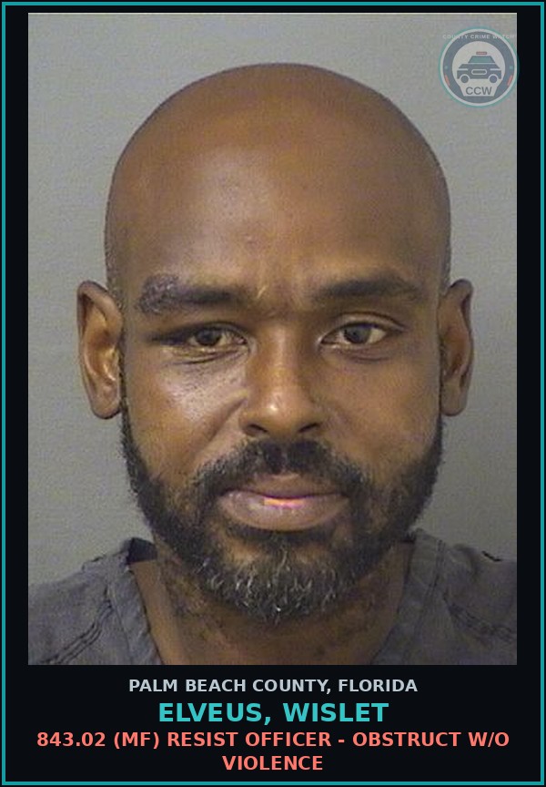 Booking mugshot of ELVEUS, WISLET in Palm Beach County