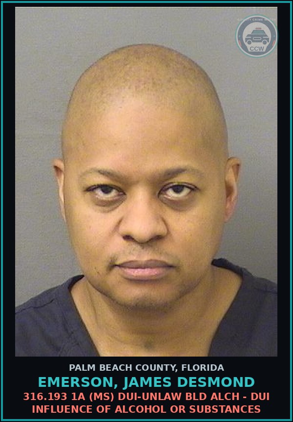 Booking mugshot of EMERSON, JAMES DESMOND in Palm Beach County