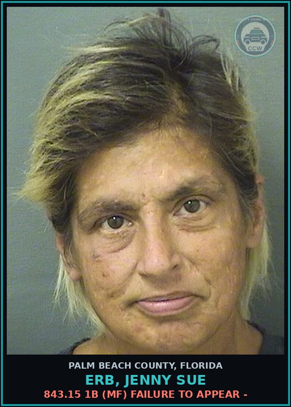 Booking mugshot of ERB, JENNY SUE in Palm Beach County