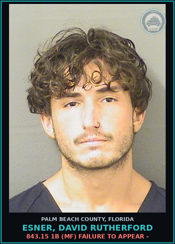 Booking mugshot of ESNER, DAVID RUTHERFORD in Palm Beach County