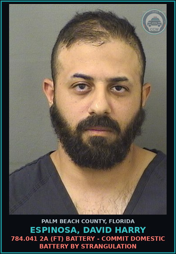 Booking mugshot of ESPINOSA, DAVID HARRY in Palm Beach County
