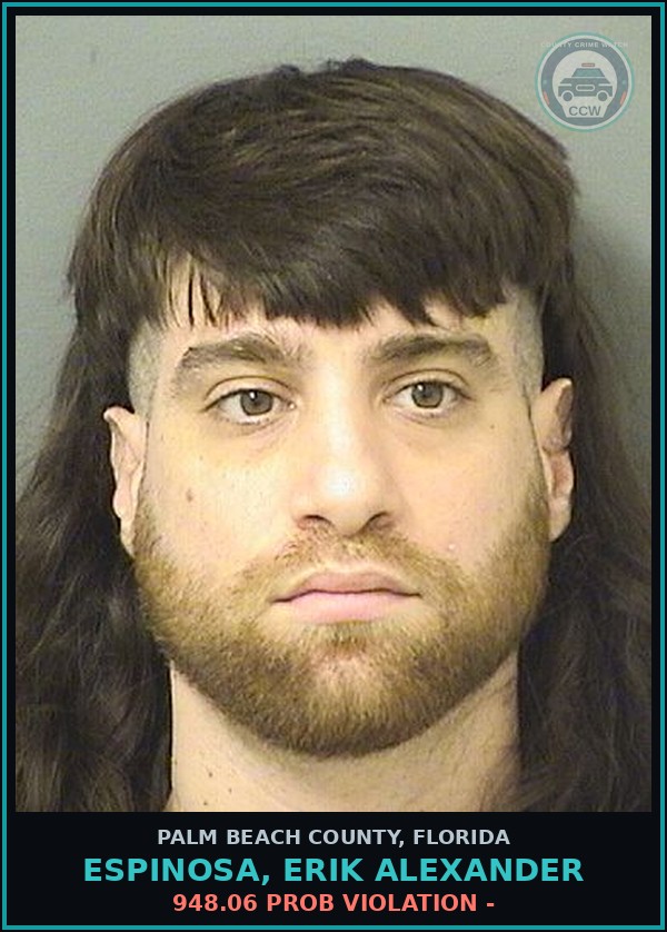 Booking mugshot of ESPINOSA, ERIK ALEXANDER in Palm Beach County