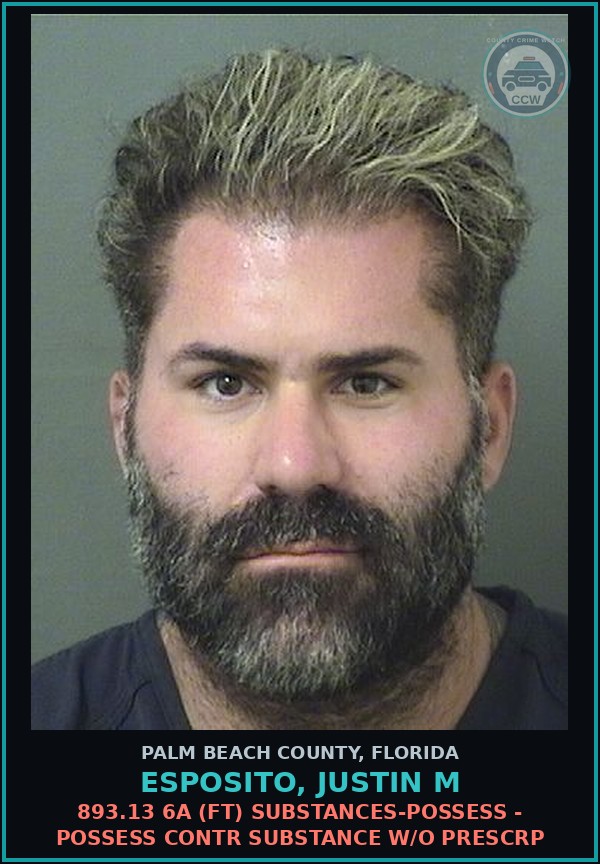 Booking mugshot of ESPOSITO, JUSTIN M in Palm Beach County