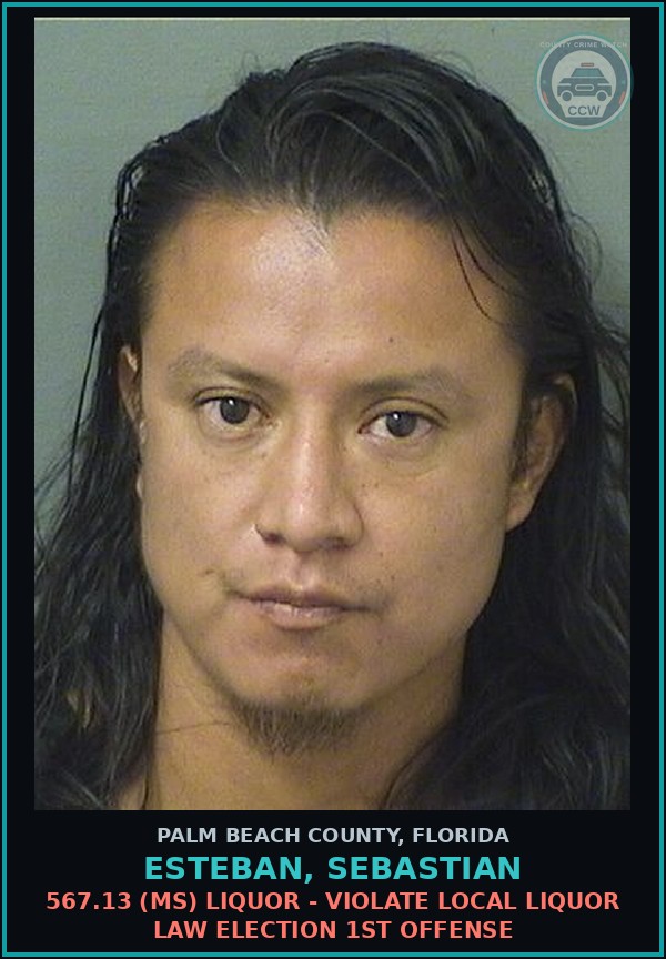 Booking mugshot of ESTEBAN, SEBASTIAN in Palm Beach County