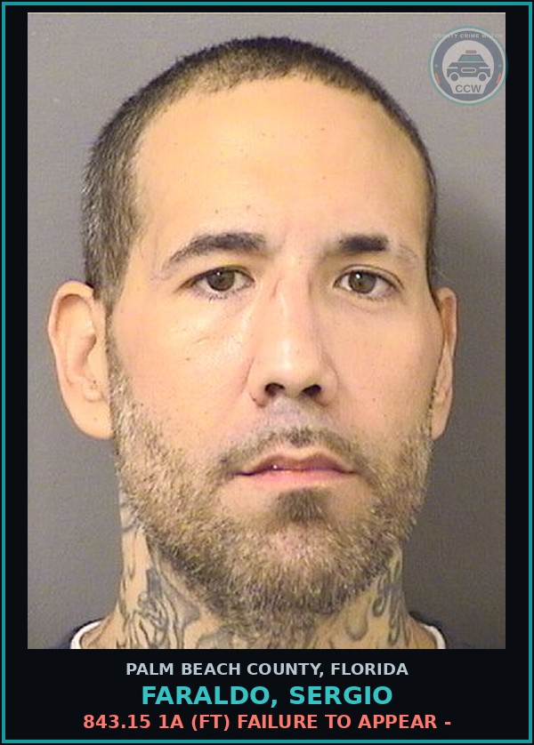 Booking mugshot of FARALDO, SERGIO in Palm Beach County