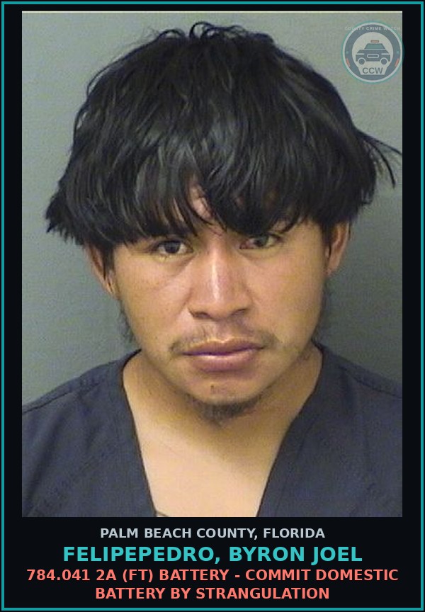 Booking mugshot of FELIPEPEDRO, BYRON JOEL in Palm Beach County