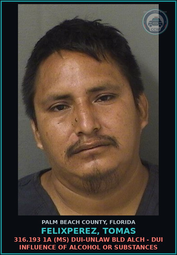 Booking mugshot of FELIXPEREZ, TOMAS in Palm Beach County