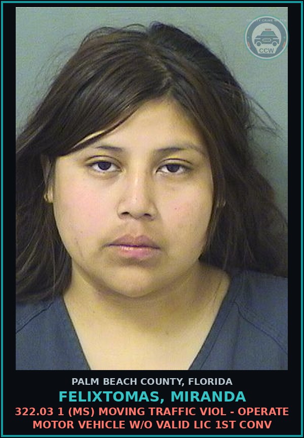 Booking mugshot of FELIXTOMAS, MIRANDA in Palm Beach County
