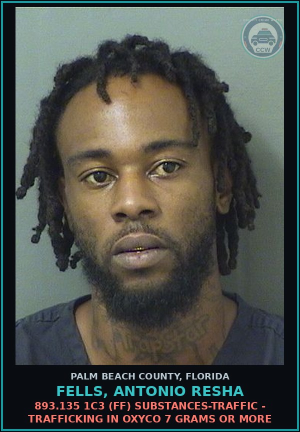 Booking mugshot of FELLS, ANTONIO RESHA in Palm Beach County