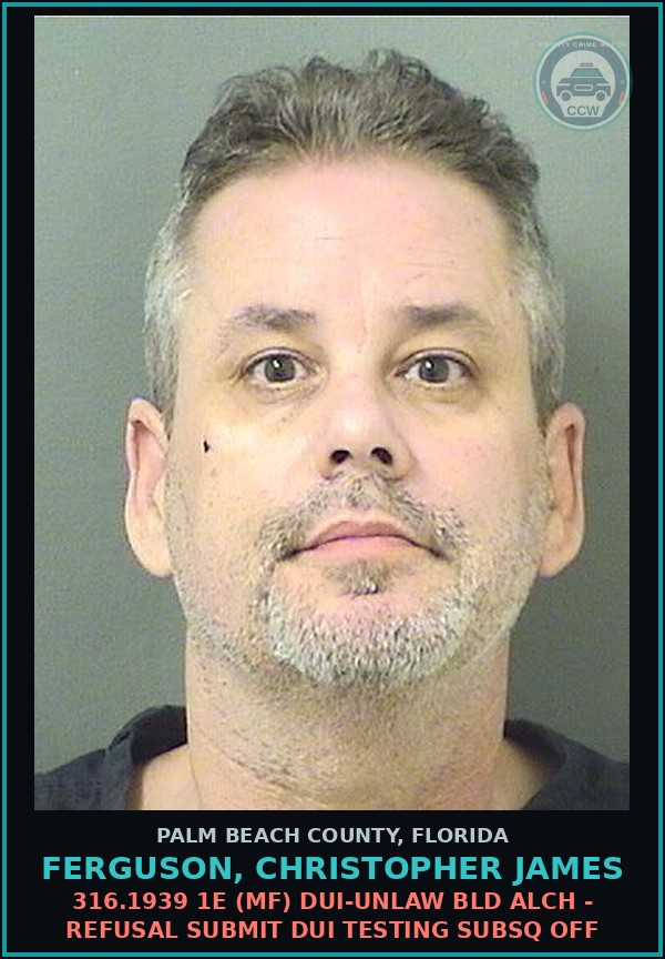 Booking mugshot of FERGUSON, CHRISTOPHER JAMES in Palm Beach County