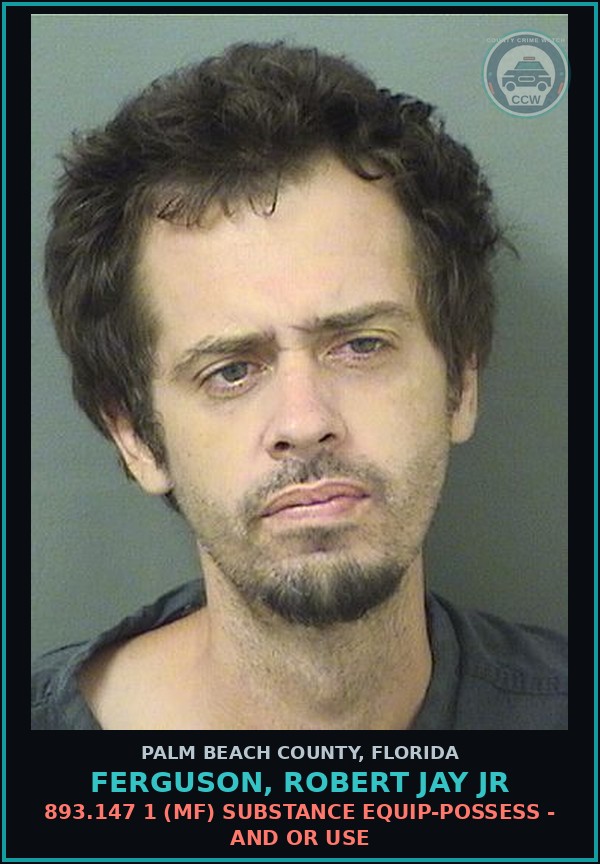 Booking mugshot of FERGUSON, ROBERT JAY Jr in Palm Beach County