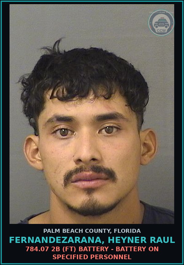 Booking mugshot of FERNANDEZARANA, HEYNER RAUL in Palm Beach County
