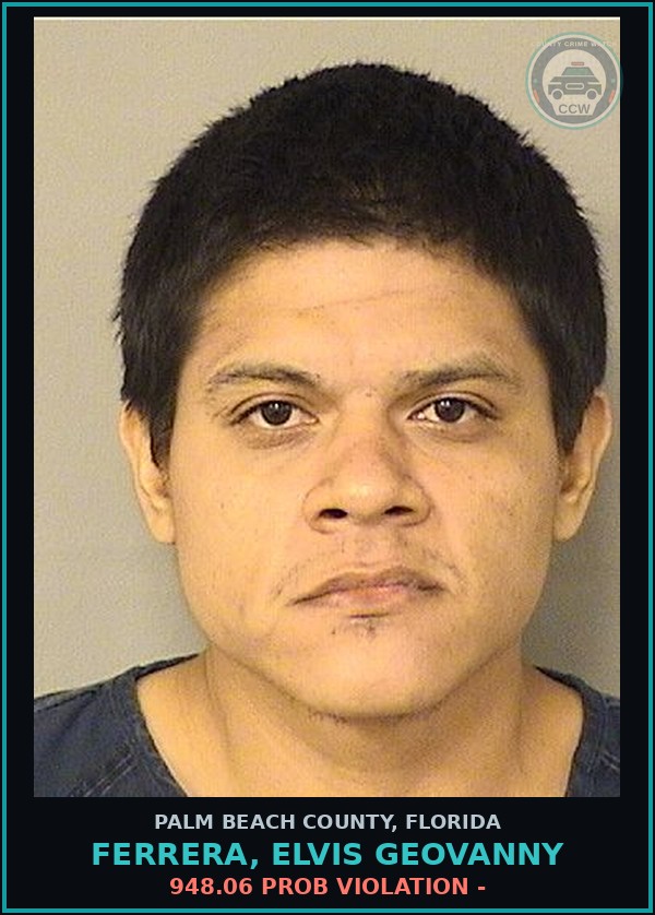 Booking mugshot of FERRERA, ELVIS GEOVANNY in Palm Beach County