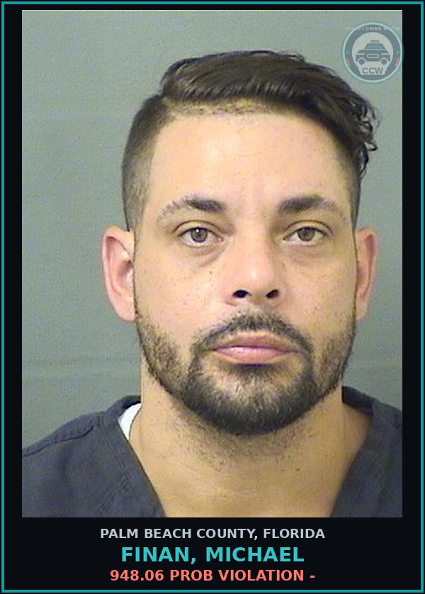 Booking mugshot of FINAN, MICHAEL in Palm Beach County