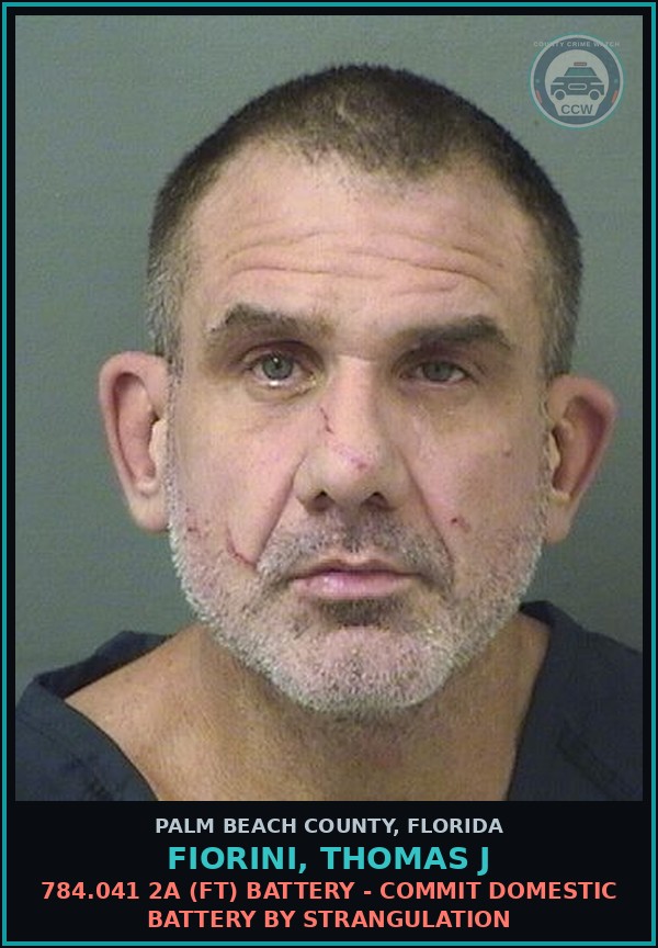 Booking mugshot of FIORINI, THOMAS J in Palm Beach County