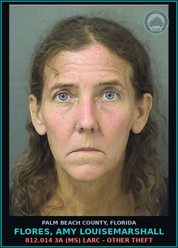 Booking mugshot of FLORES, AMY LOUISEMARSHALL in Palm Beach County