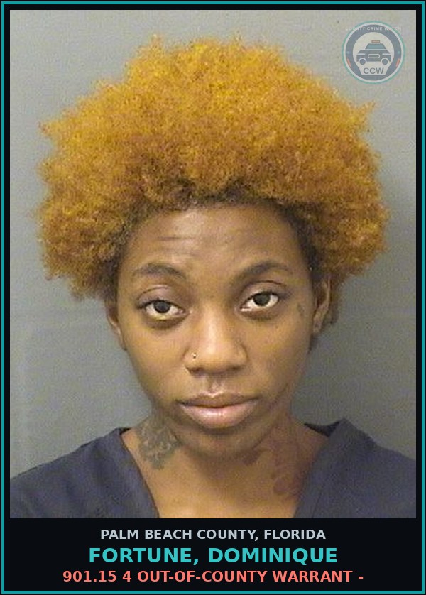 Booking mugshot of FORTUNE, DOMINIQUE in Palm Beach County