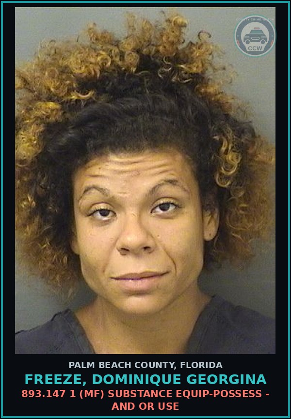 Booking mugshot of FREEZE, DOMINIQUE GEORGINA in Palm Beach County