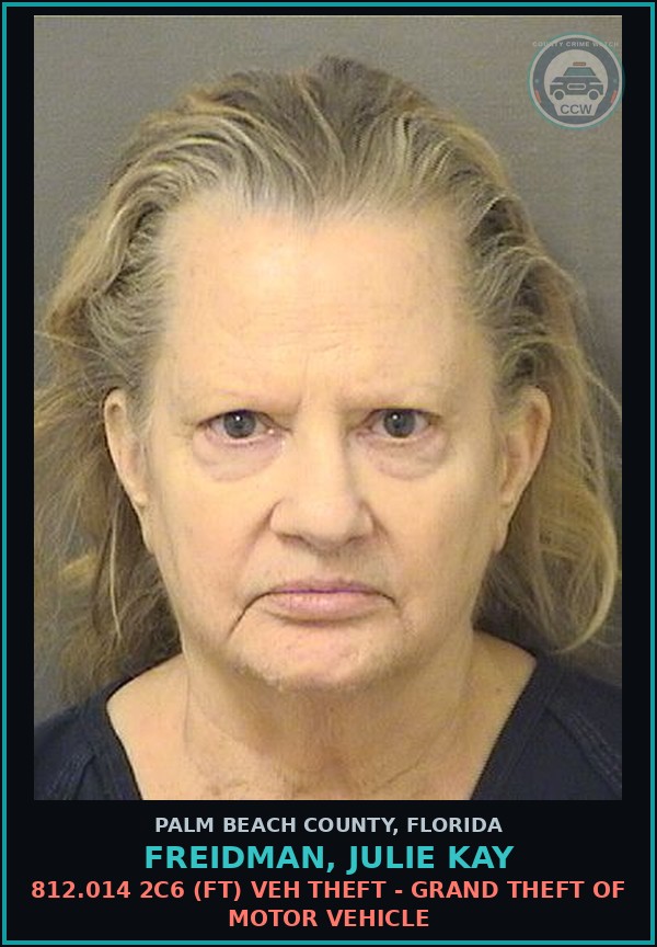 Booking mugshot of FREIDMAN, JULIE KAY in Palm Beach County