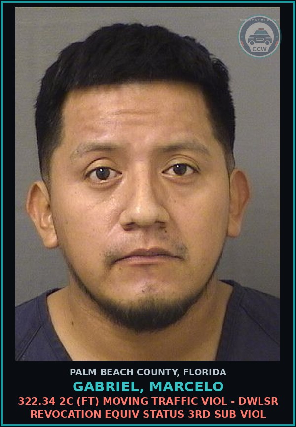 Booking mugshot of GABRIEL, MARCELO in Palm Beach County