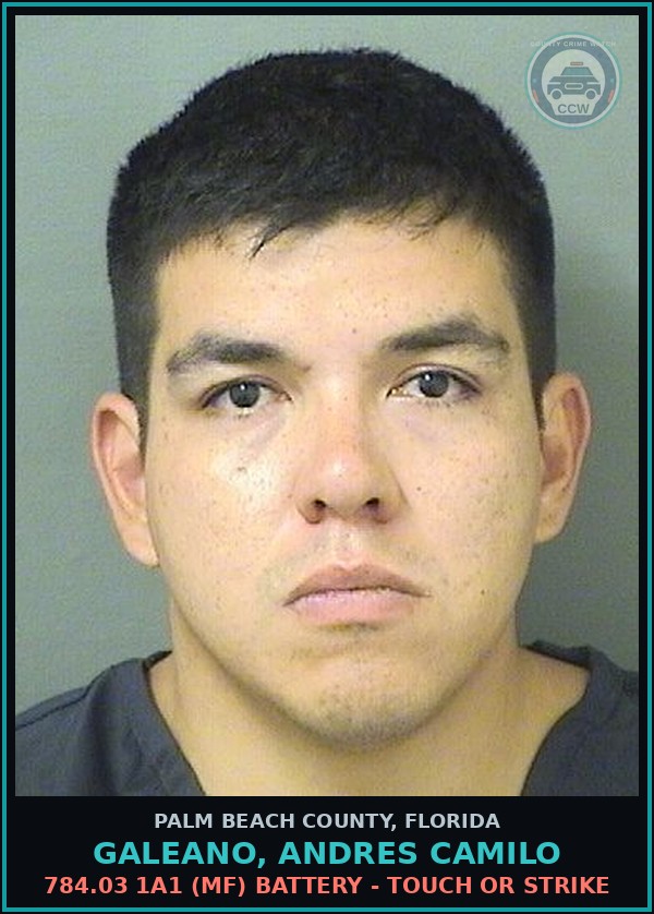 Booking mugshot of GALEANO, ANDRES CAMILO in Palm Beach County