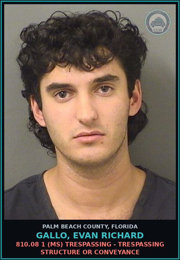 Booking mugshot of GALLO, EVAN RICHARD in Palm Beach County