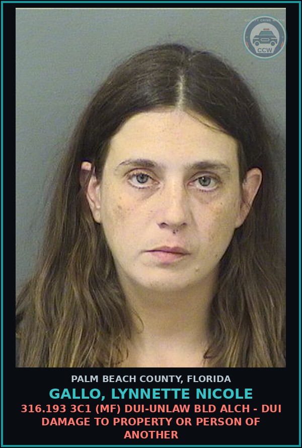 Booking mugshot of GALLO, LYNNETTE NICOLE in Palm Beach County