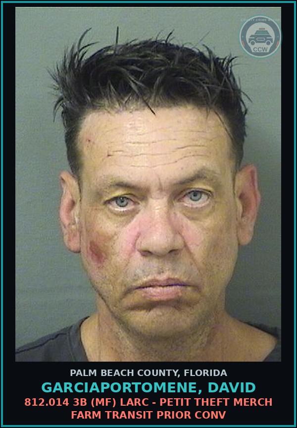 Booking mugshot of GARCIAPORTOMENE, DAVID in Palm Beach County