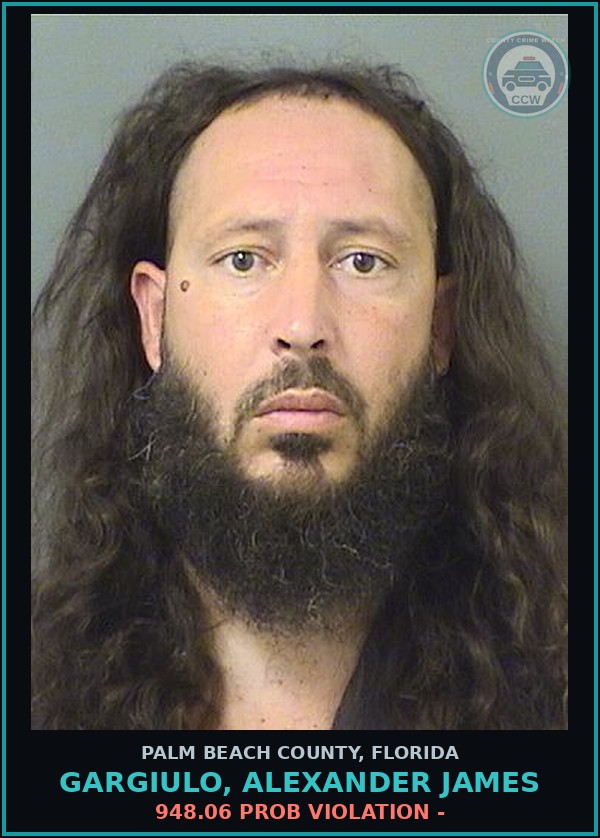 Booking mugshot of GARGIULO, ALEXANDER JAMES in Palm Beach County