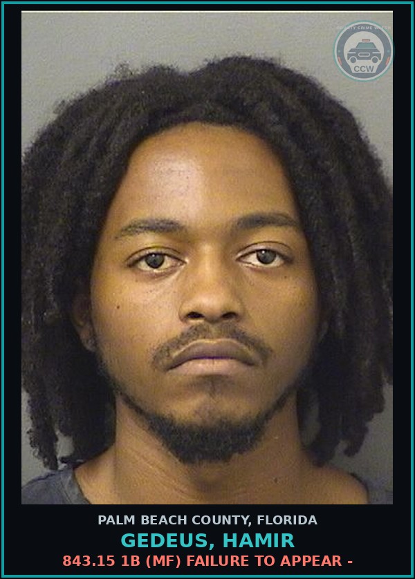 Booking mugshot of GEDEUS, HAMIR in Palm Beach County