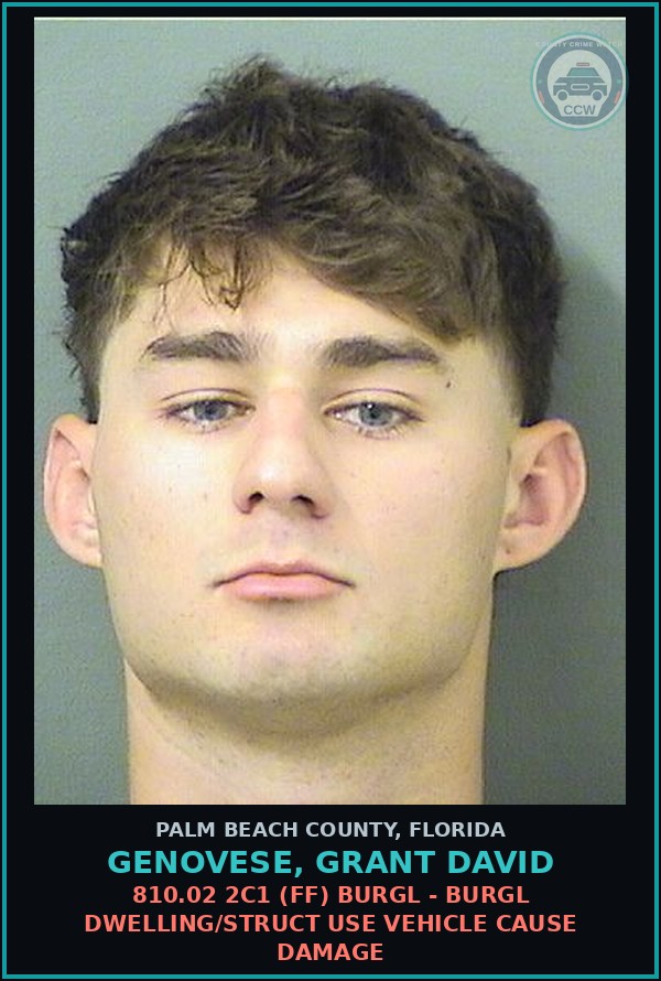 Booking mugshot of GENOVESE, GRANT DAVID in Palm Beach County