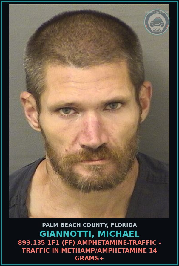 Booking mugshot of GIANNOTTI, MICHAEL in Palm Beach County