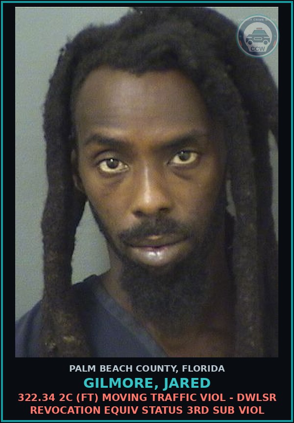 Booking mugshot of GILMORE, JARED in Palm Beach County