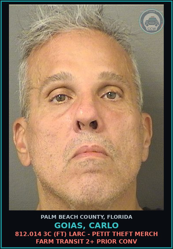 Booking mugshot of GOIAS, CARLO in Palm Beach County