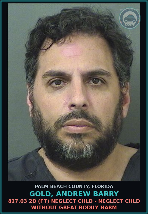 Booking mugshot of GOLD, ANDREW BARRY in Palm Beach County