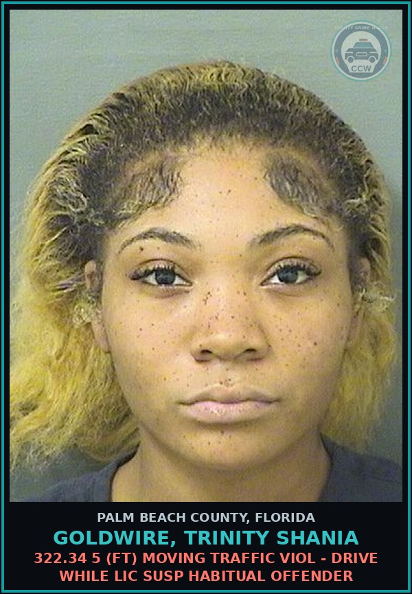 Booking mugshot of GOLDWIRE, TRINITY SHANIA in Palm Beach County