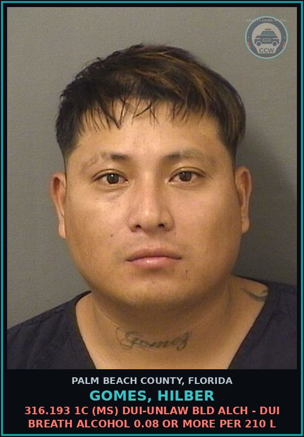 Booking mugshot of GOMES, HILBER in Palm Beach County