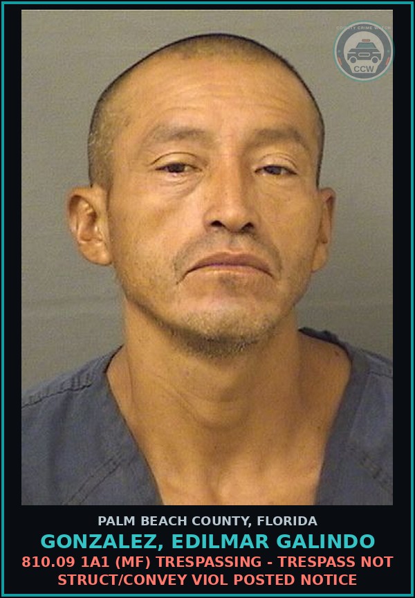 Booking mugshot of GONZALEZ, EDILMAR GALINDO in Palm Beach County