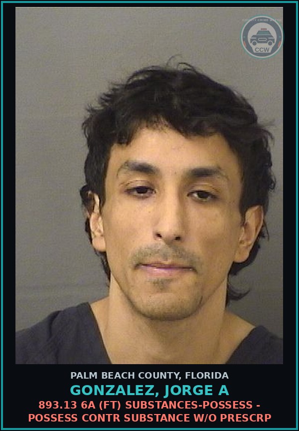 Booking mugshot of GONZALEZ, JORGE A in Palm Beach County