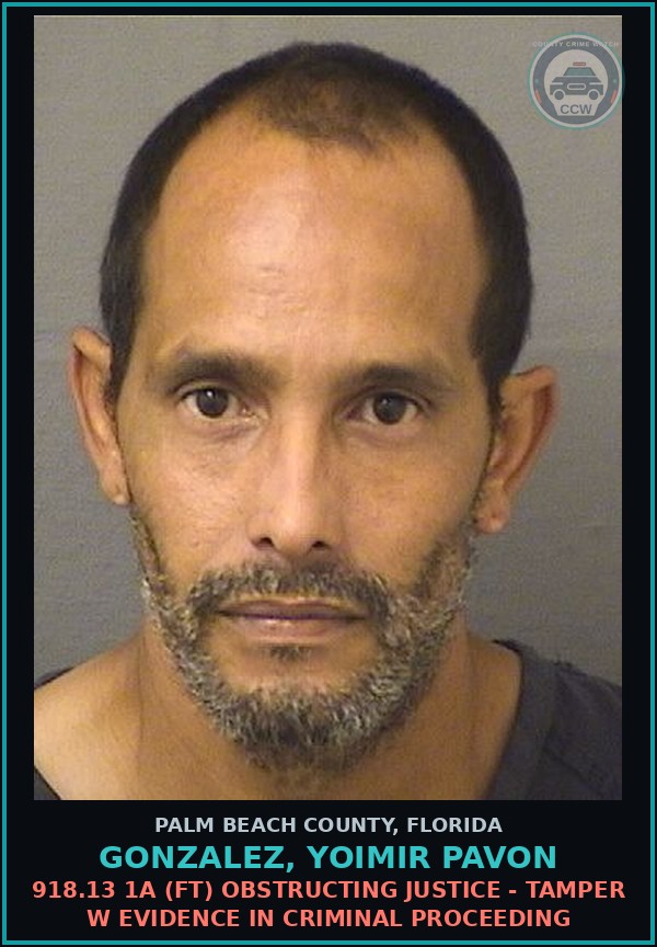 Booking mugshot of GONZALEZ, YOIMIR PAVON in Palm Beach County