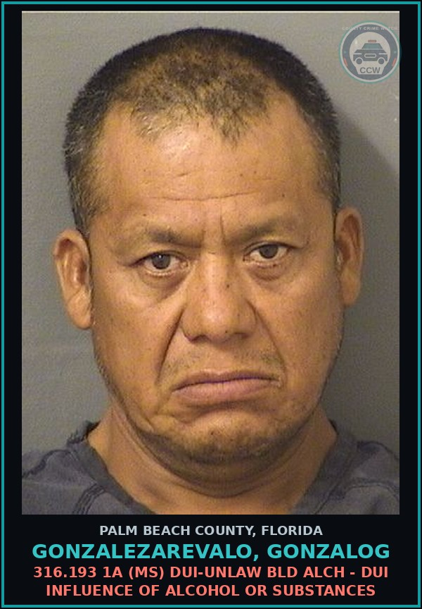 Booking mugshot of GONZALEZAREVALO, GONZALOG in Palm Beach County