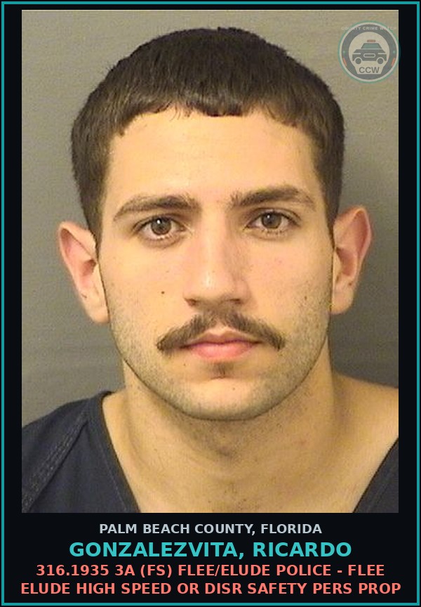 Booking mugshot of GONZALEZVITA, RICARDO in Palm Beach County