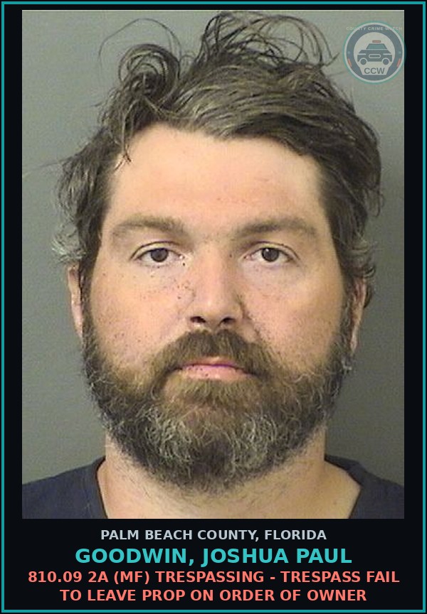 Booking mugshot of GOODWIN, JOSHUA PAUL in Palm Beach County