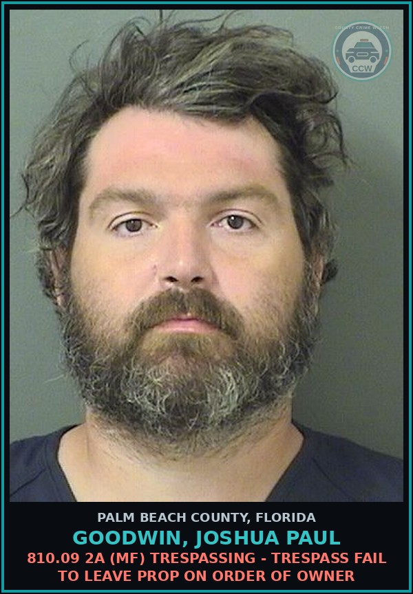 Booking mugshot of GOODWIN, JOSHUA PAUL in Palm Beach County
