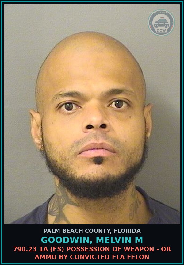 Booking mugshot of GOODWIN, MELVIN M in Palm Beach County